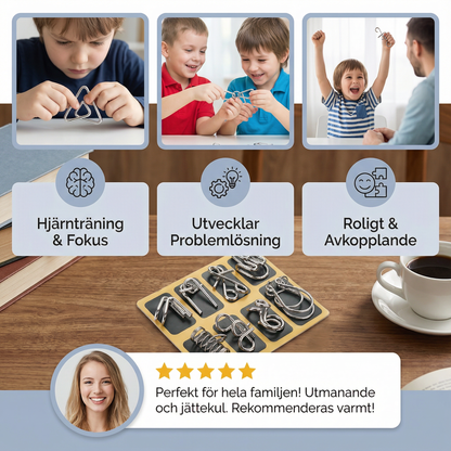 Metallpusselringset ⎜ Hjärngymnastik