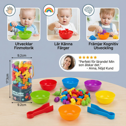 Montessori färgsorteringsspel